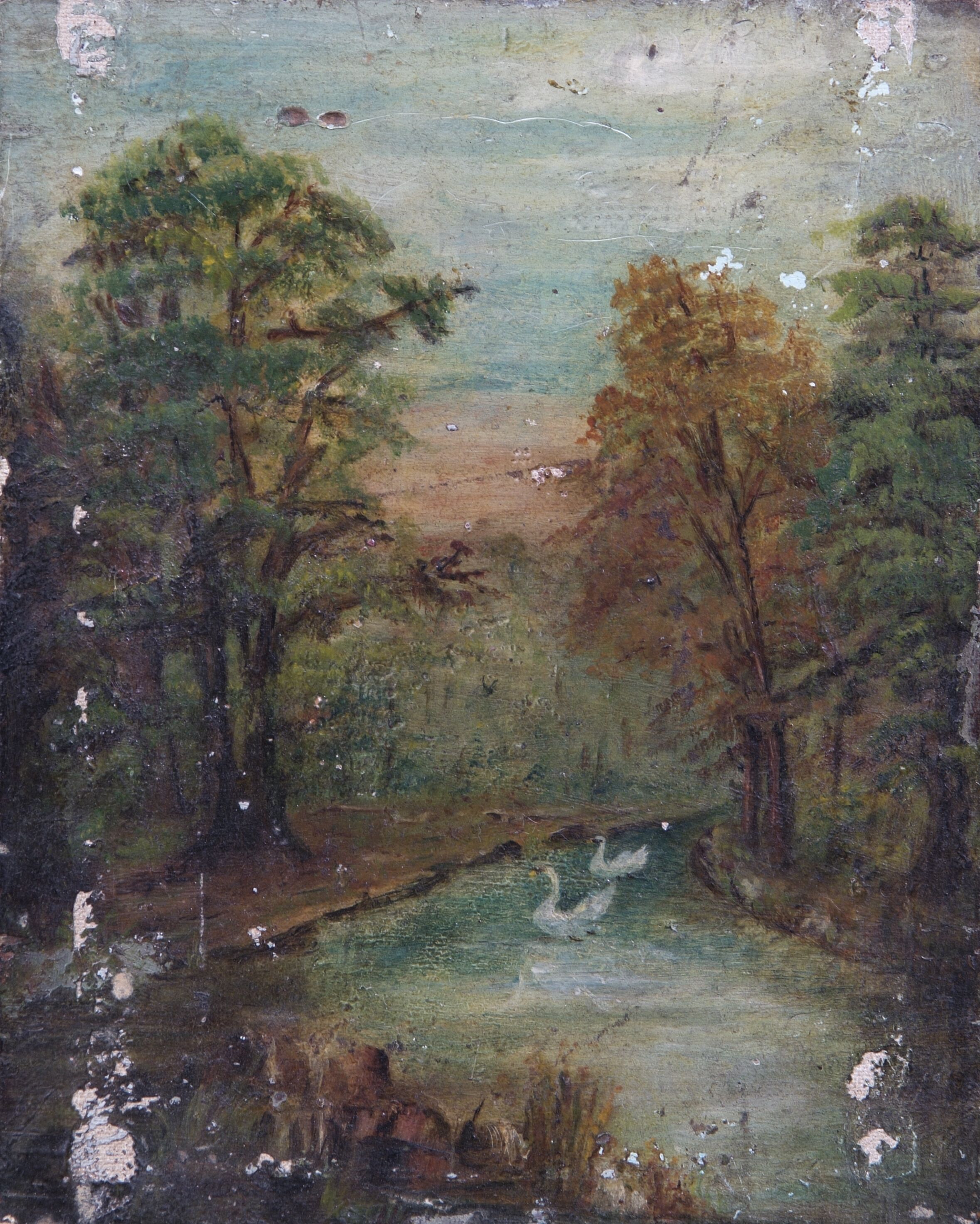 Trees, a lake and swans.
