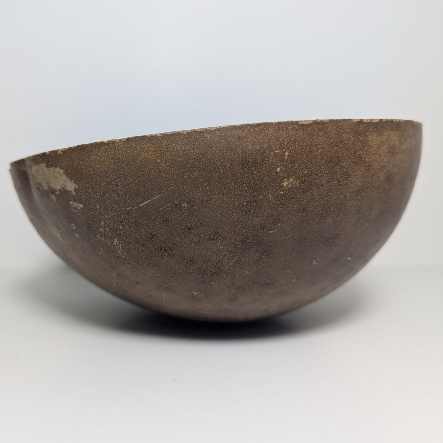 Handcrafted Coconut Bowl