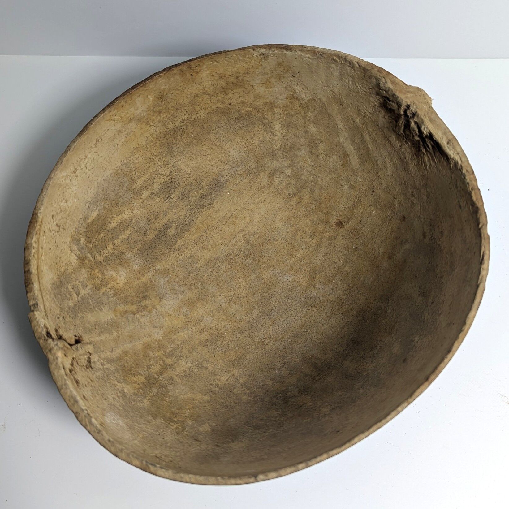 Handcrafted Coconut Bowl