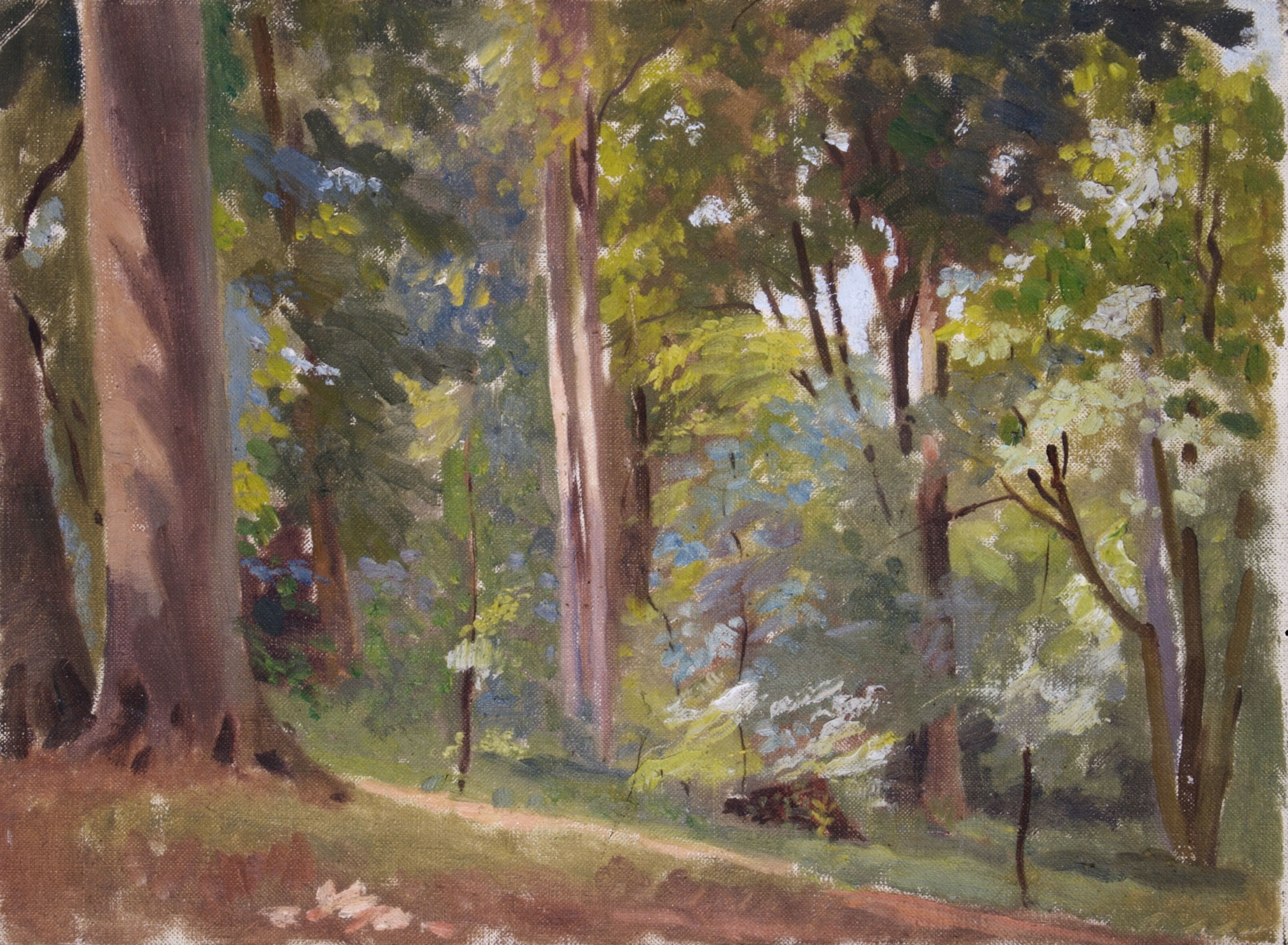 Stillness in the forest