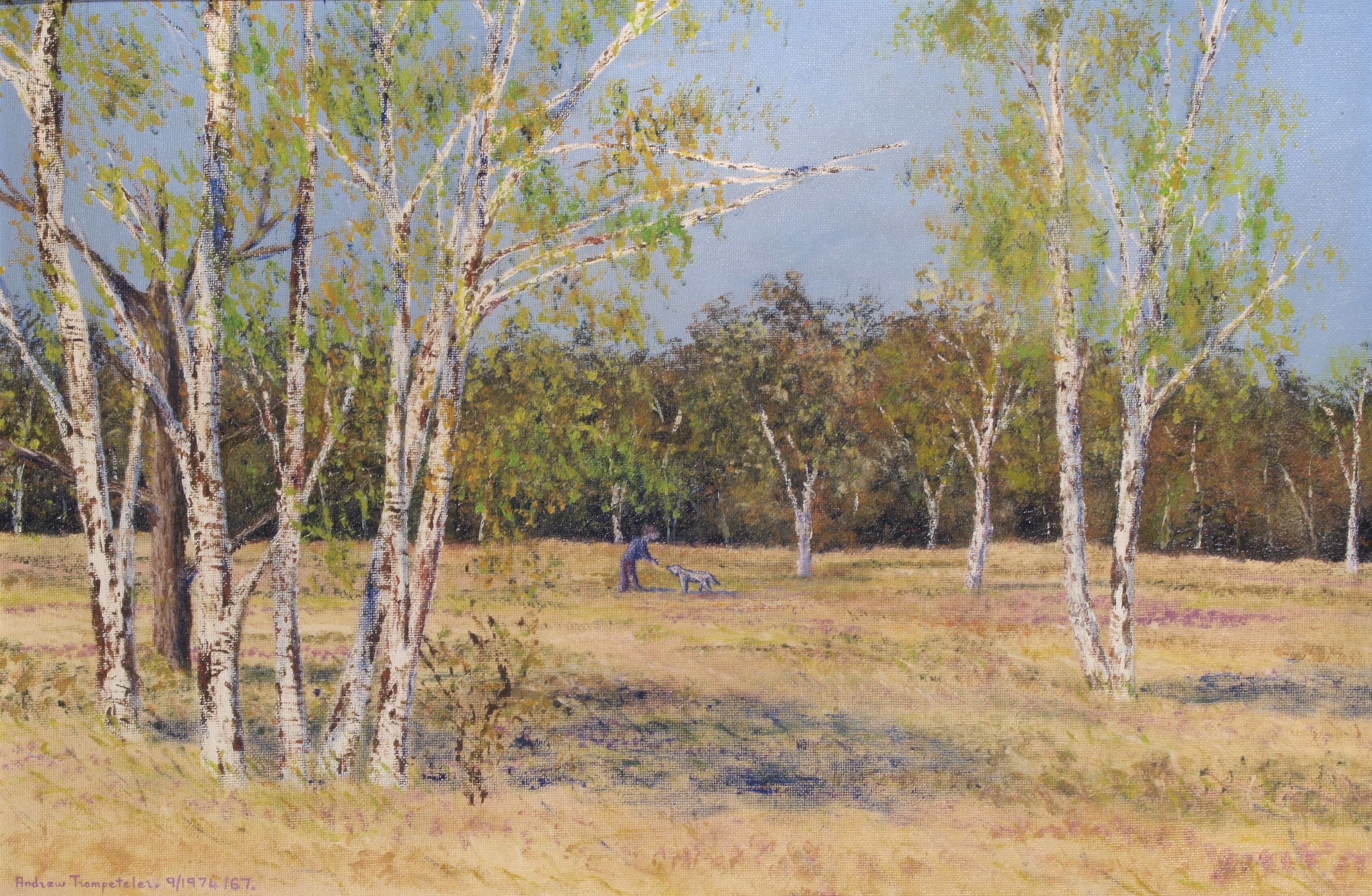 View: Wimbledon Common, Autumn