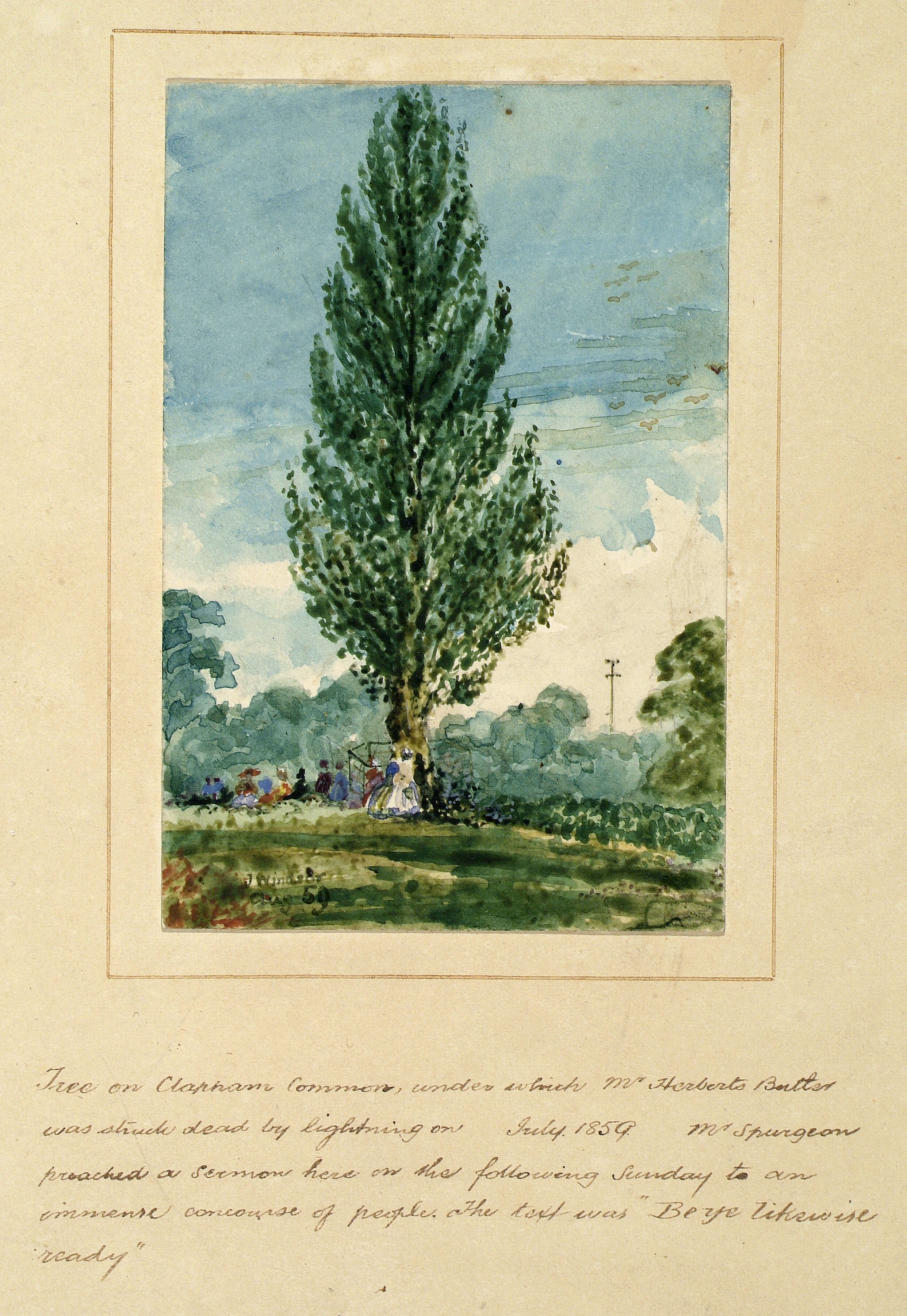 Spurgeon's Tree, Clapham Common