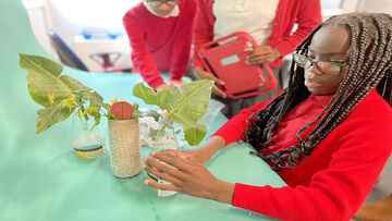 An older school student working with plants.