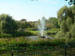 green park, sprinkler, flowers, bushes