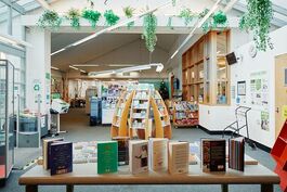 library with ooks around with ookcases and fake plants