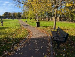 green ground with concrete pathway, bench and trees