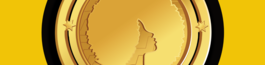 Afrochick Logo