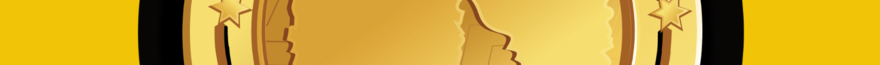 Afrochick Logo