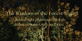 Wisdom of the Forest Night - a night walk on Tooting Common