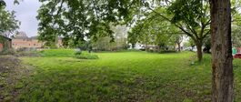 green sapce, trees, earhy ground