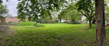 green sapce, trees, earhy ground