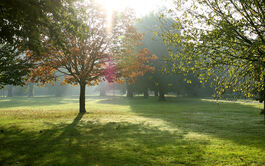 park green land 