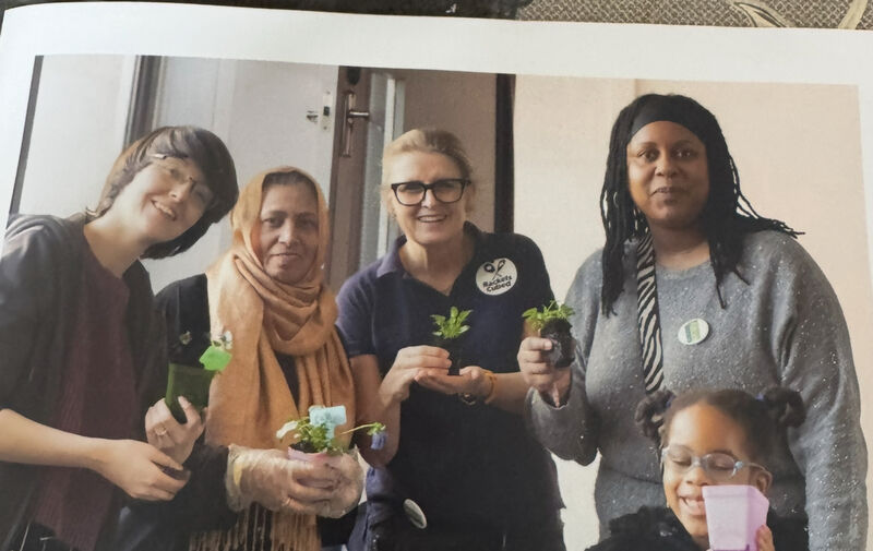 Seed growing session in Roehampton family hub 
