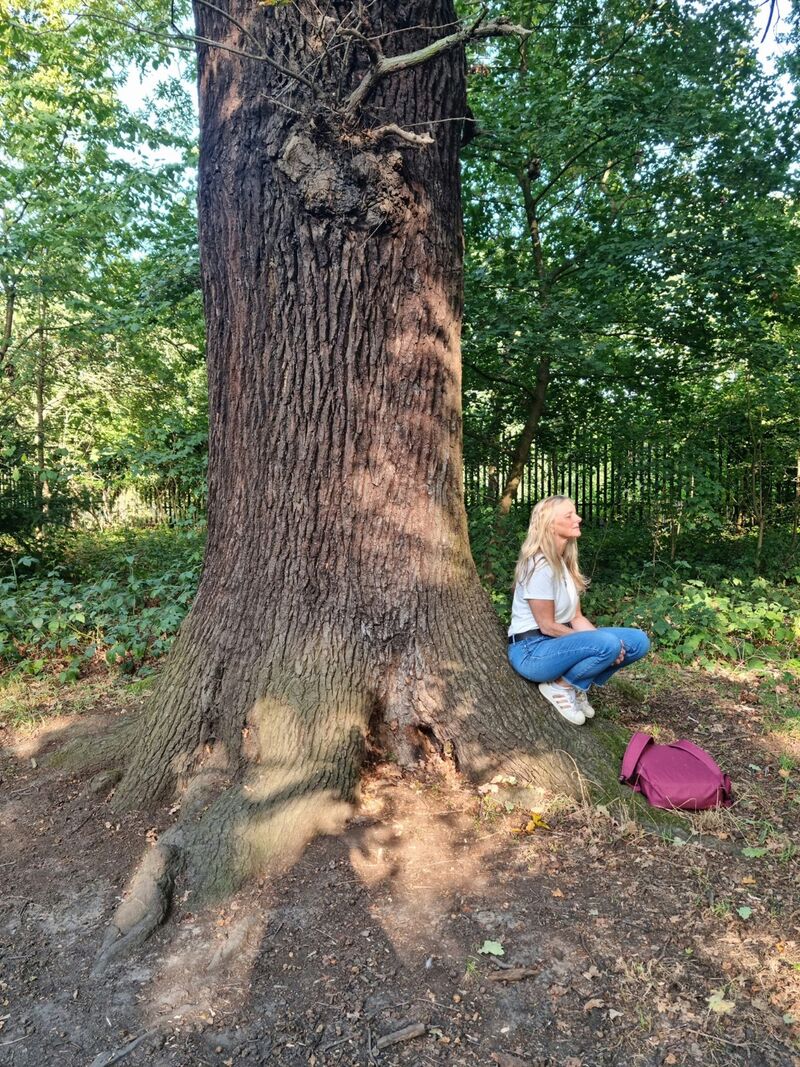 Forest bathing