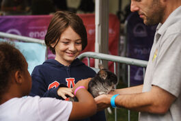 Child interacting with Chinchilla