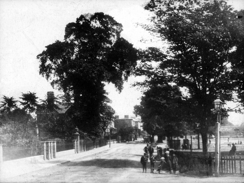 Wandsworth Common North Side c1989. View eastwards from Trinity Road showing the common on the right.