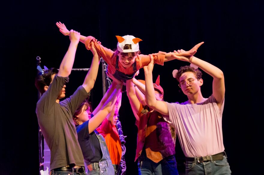 A young person is being held up in the air by 4 other young people. They are dressed up as foxes.
