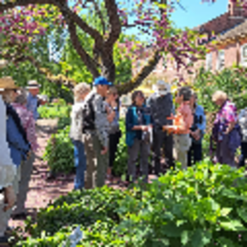 2025 visit to The Chelsea Physic Garden