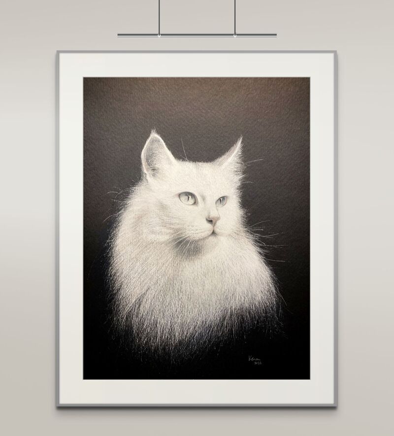 Maine Coon - Pet portrait in acrylic ink on A3 coloured paper