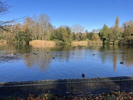 A view of the lake in Battersea Park with winter trees in the background