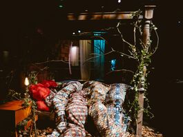 Image shows a bedside table and wooden four-poster bed trailing with ivy, spotlit in a darkened room. Fabrics printed with ornate patterns tumble from mattress to floor, snaking like tree roots into loose autumn leaves on the surrounding floor.