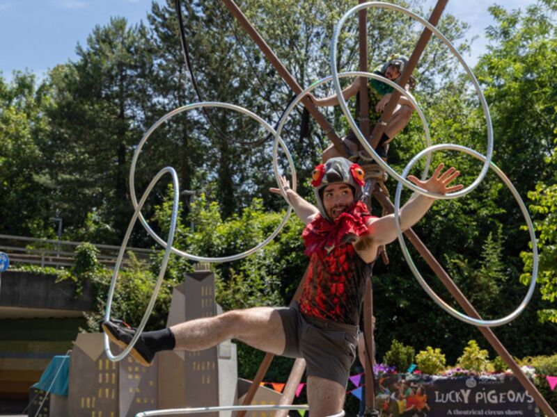 A performer juggles five hula hoops from hands and feet. They are dressed as a pigeon and stood in front of a tipi shaped structure that has another performer dressed as a pigeon sitting on it.
