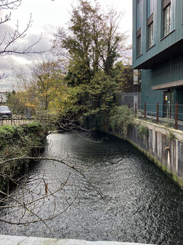 A section of the River Wandle running next to a modern building, with winter trees in the background