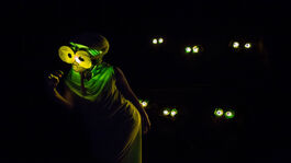 In the dark, a women wearing green sings. She has large circles over her eyes making her look bug-like. In the darkness behind her, 6 pairs of eyes are glowing.