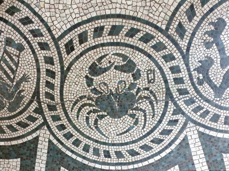 Black and White Mosaic Floor Crab Detail