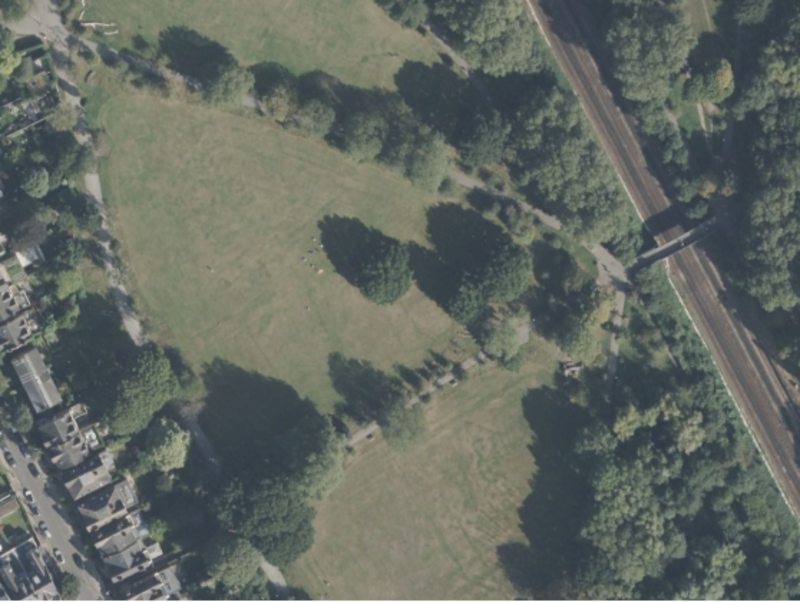 Aerial view of the Storytelling Oak, Wandsworth Common 