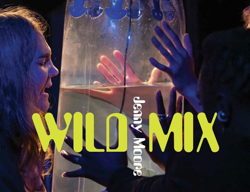The Wild Mix logo - lime green text