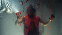 A man in a red vest stands behind some plastic film with blood running down it.
