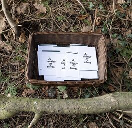 a basket holding booklets on the floor of a forest