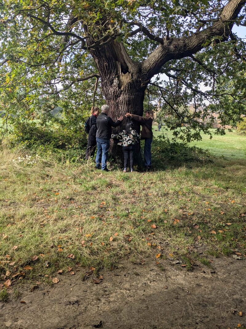 Tree hugging