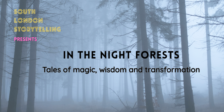 In the Night Forests: Tales of magic, wisdom and transformation