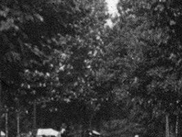 Wandsworth Common 1910.