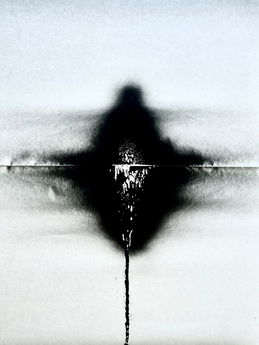 A portal in ink to another landscape