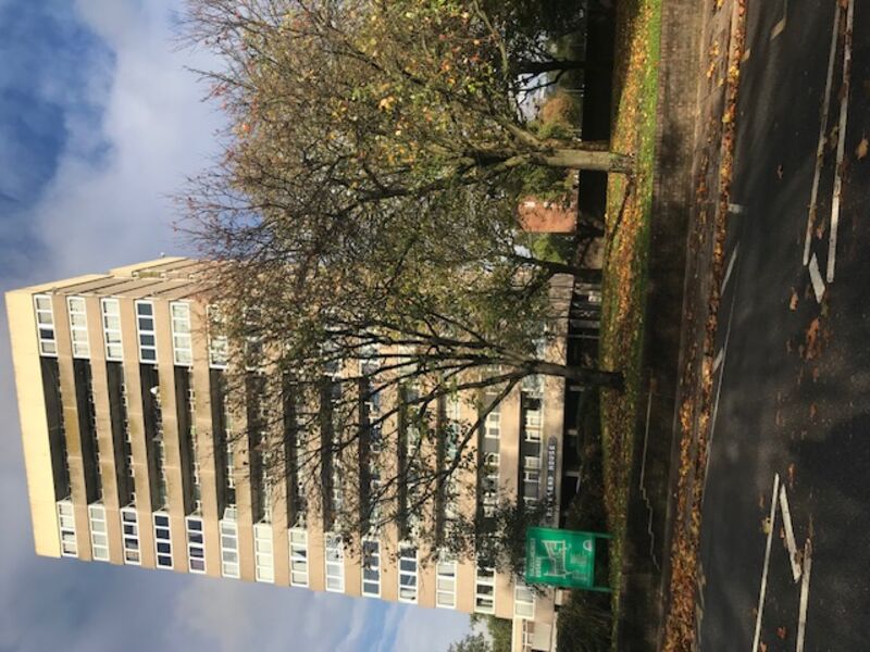 The green from Blackshaw Road, showing Hayesend House Tower in the background 